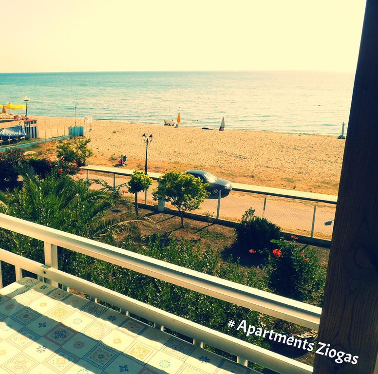 Apartments Ziogas Паралия-Скотинас Экстерьер фото